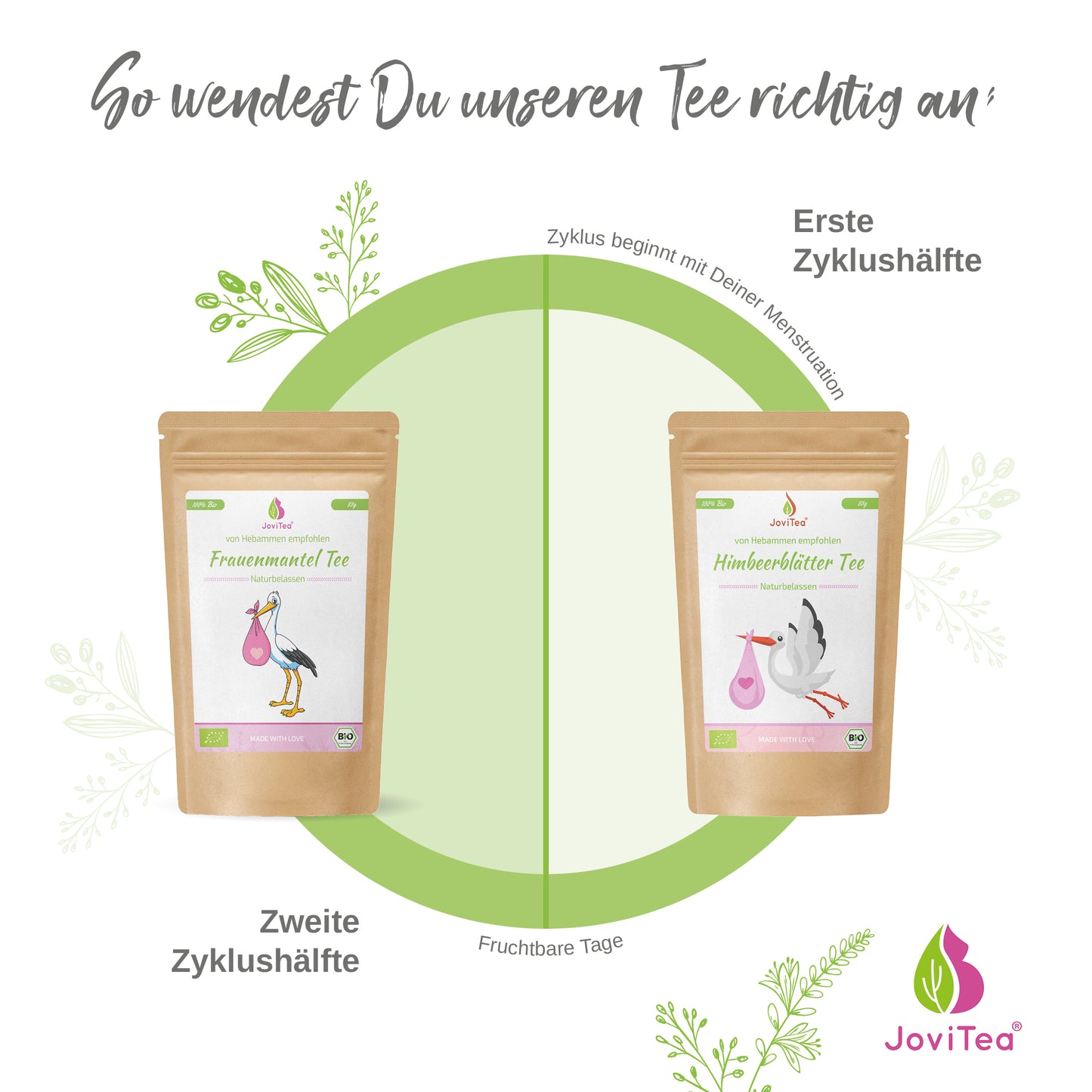 JoviTea Frauenmanteltee Bio