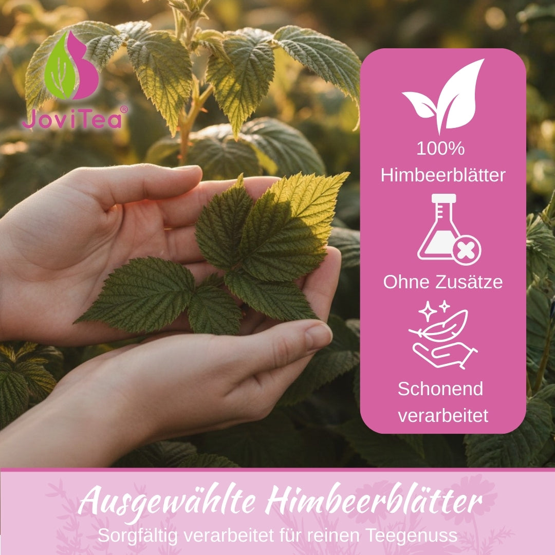 JoviTea Himbeerblättertee Bio